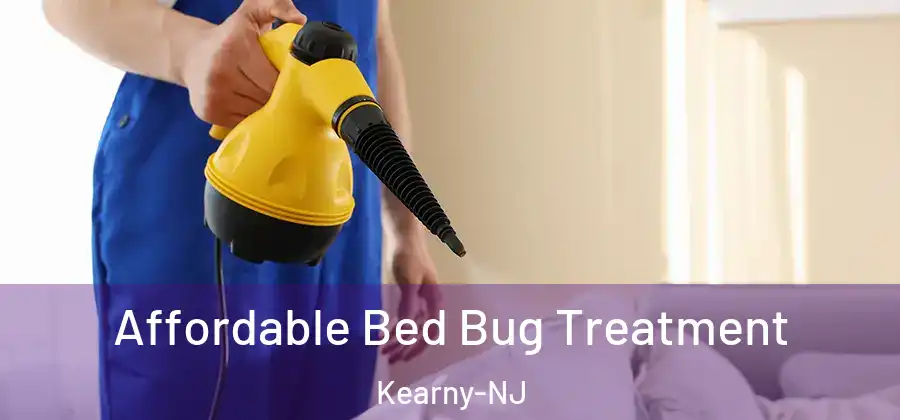  Affordable Bed Bug Treatment Kearny-NJ