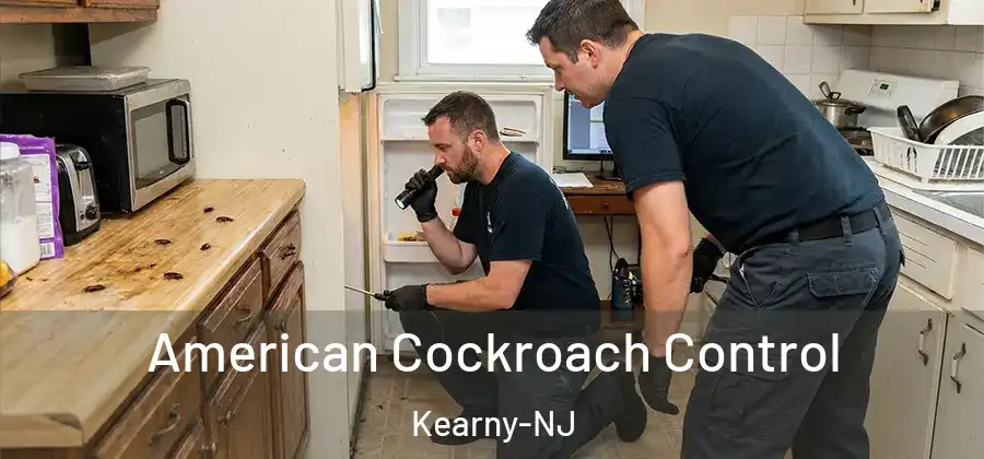  American Cockroach Control Kearny-NJ