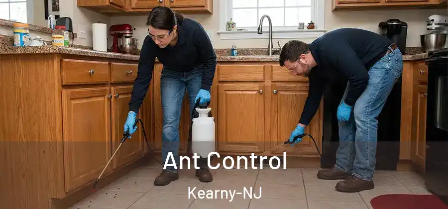  Ant Control Kearny-NJ