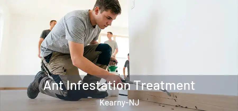  Ant Infestation Treatment Kearny-NJ