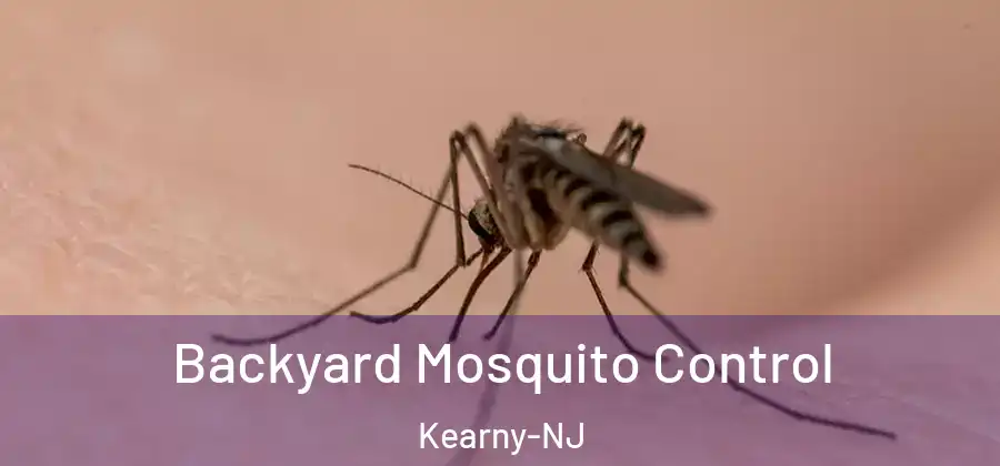 Backyard Mosquito Control Kearny-NJ