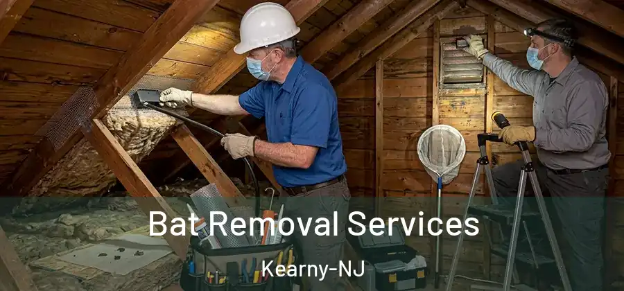  Bat Removal Services Kearny-NJ
