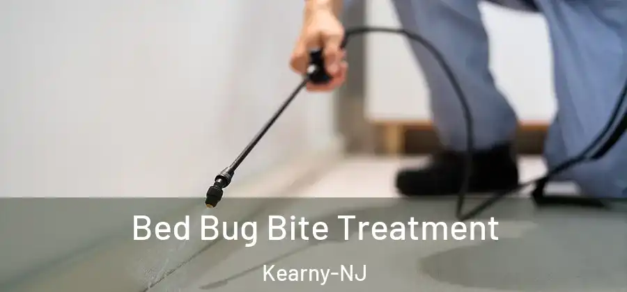 Bed Bug Bite Treatment Kearny-NJ