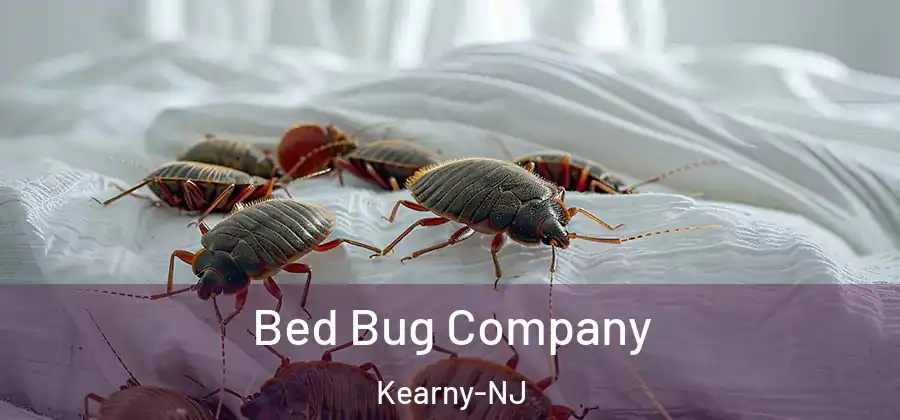 Bed Bug Company Kearny-NJ