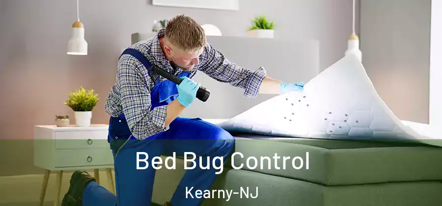  Bed Bug Control Kearny-NJ