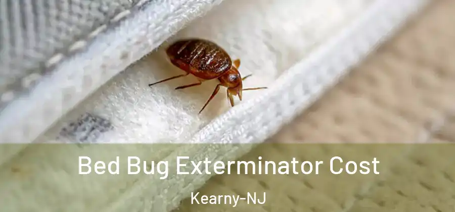 Bed Bug Exterminator Cost Kearny-NJ