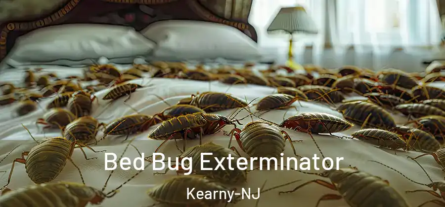  Bed Bug Exterminator Kearny-NJ