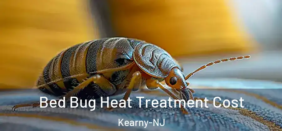 Bed Bug Heat Treatment Cost Kearny-NJ