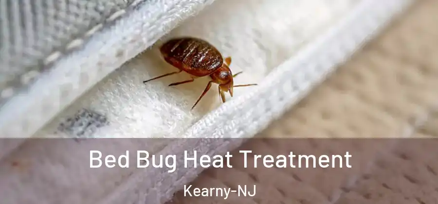  Bed Bug Heat Treatment Kearny-NJ