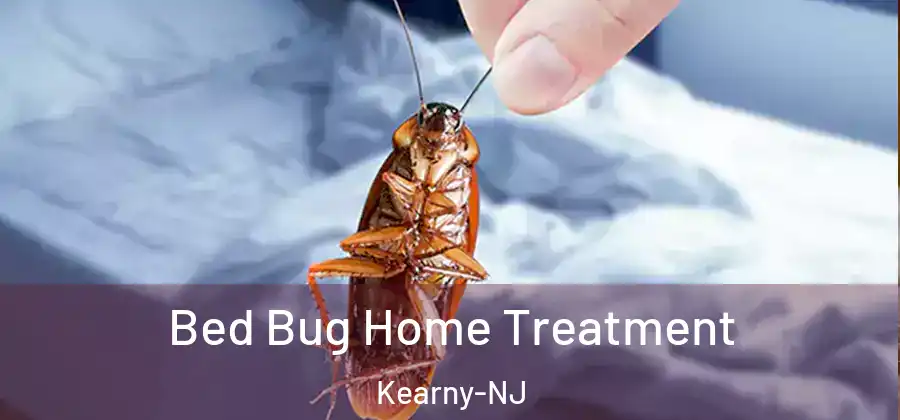  Bed Bug Home Treatment Kearny-NJ