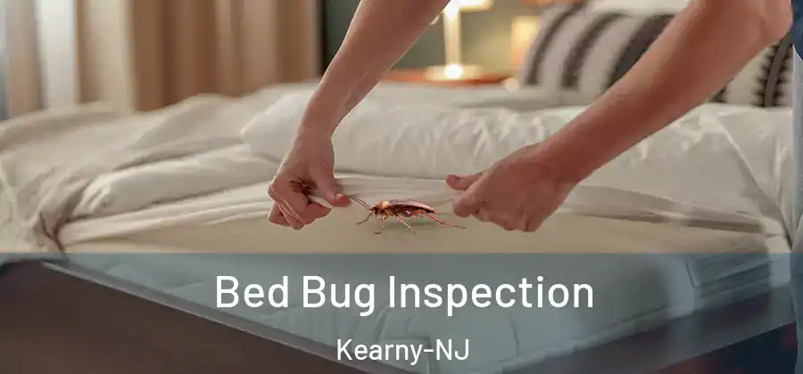 Bed Bug Inspection Kearny-NJ