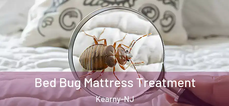 Bed Bug Mattress Treatment Kearny-NJ