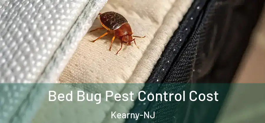 Bed Bug Pest Control Cost Kearny-NJ