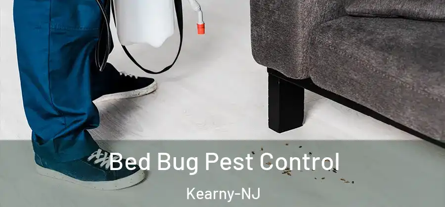 Bed Bug Pest Control Kearny-NJ