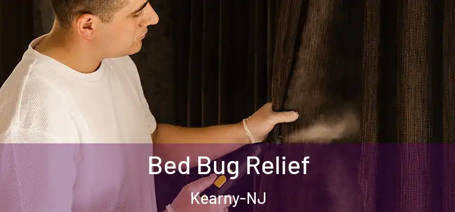 Bed Bug Relief Kearny-NJ