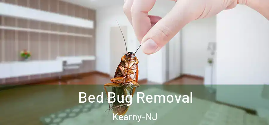  Bed Bug Removal Kearny-NJ