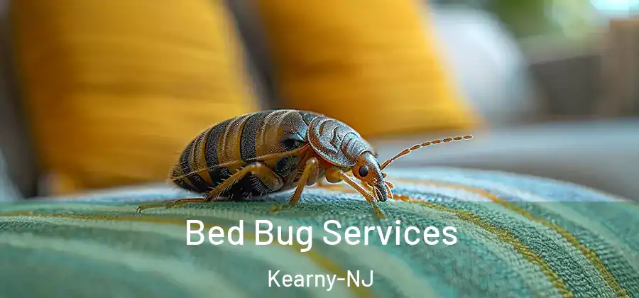  Bed Bug Services Kearny-NJ
