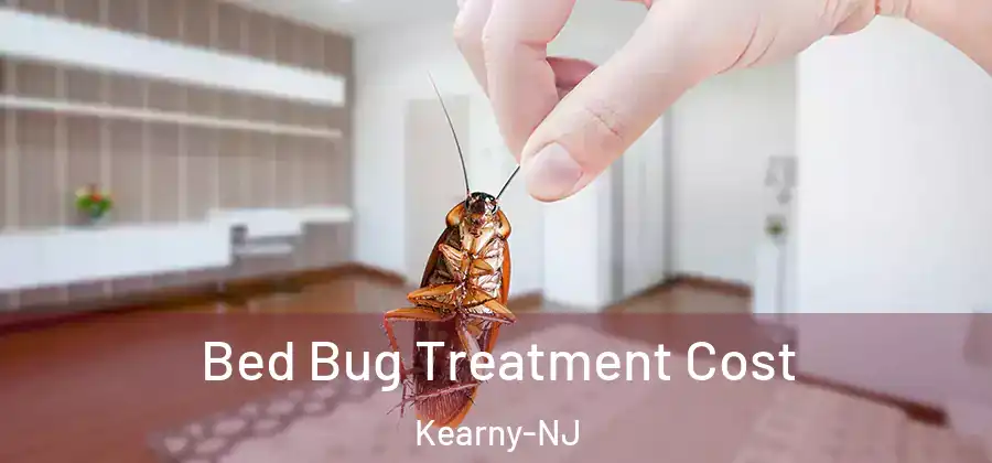Bed Bug Treatment Cost Kearny-NJ