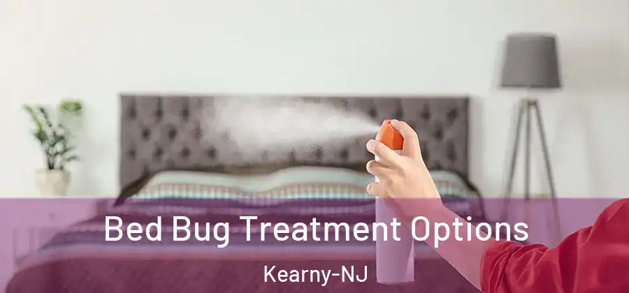  Bed Bug Treatment Options Kearny-NJ