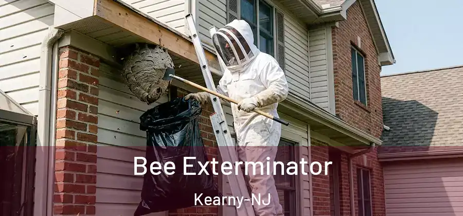 Bee Exterminator Kearny-NJ