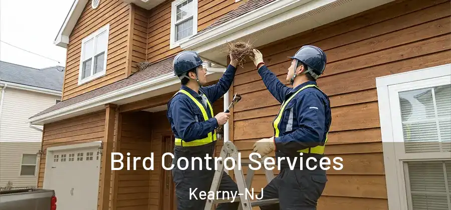 Bird Control Services Kearny-NJ