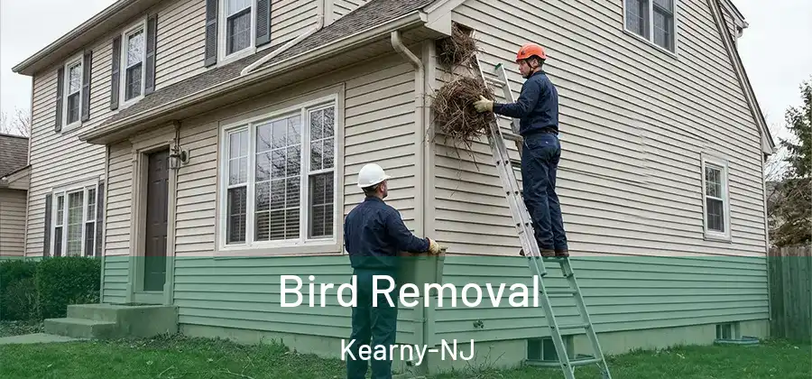  Bird Removal Kearny-NJ