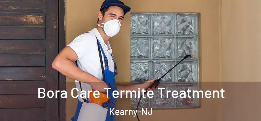  Bora Care Termite Treatment Kearny-NJ