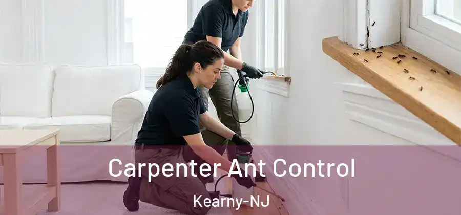 Carpenter Ant Control Kearny-NJ