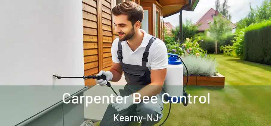 Carpenter Bee Control Kearny-NJ