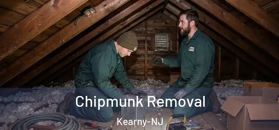 Chipmunk Removal Kearny-NJ