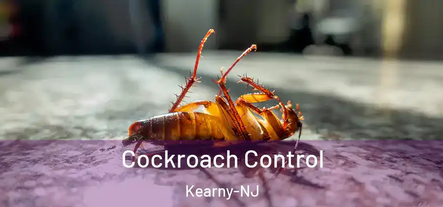  Cockroach Control Kearny-NJ