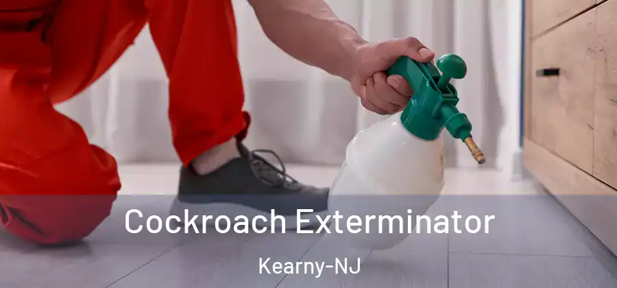Cockroach Exterminator Kearny-NJ
