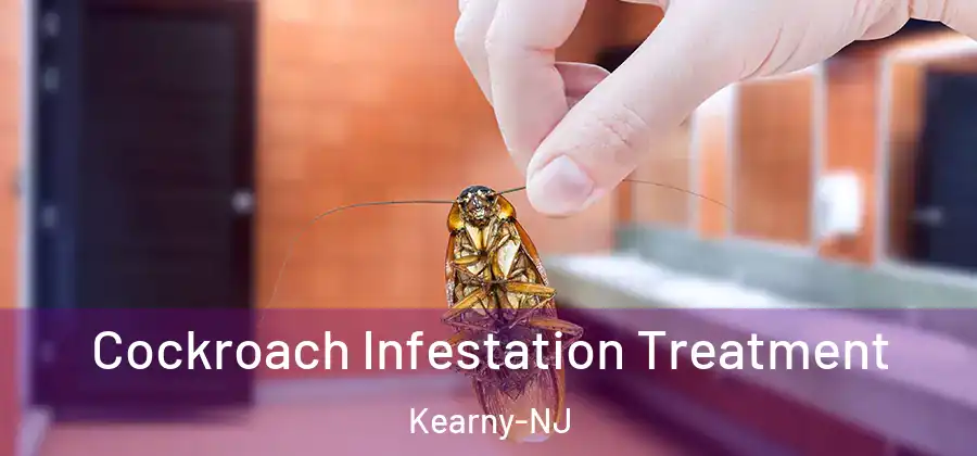 Cockroach Infestation Treatment Kearny-NJ
