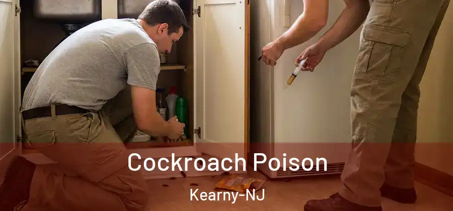 Cockroach Poison Kearny-NJ