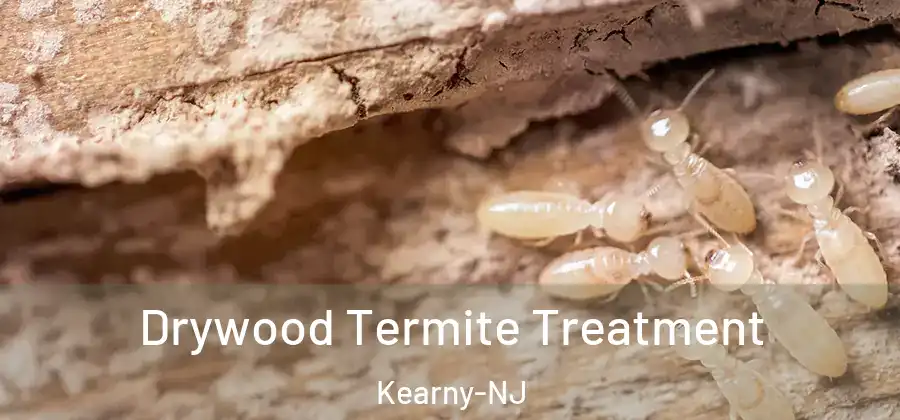  Drywood Termite Treatment Kearny-NJ