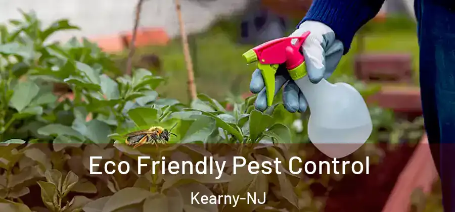 Eco Friendly Pest Control Kearny-NJ