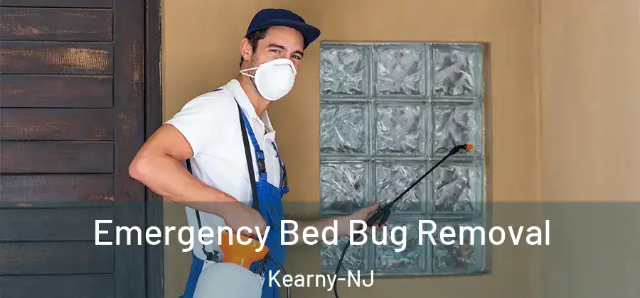 Emergency Bed Bug Removal Kearny-NJ