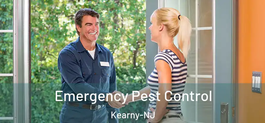  Emergency Pest Control Kearny-NJ