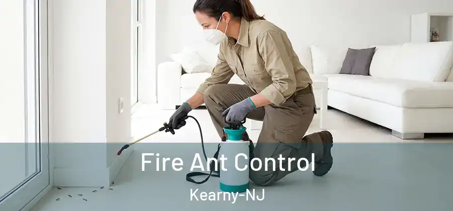 Fire Ant Control Kearny-NJ