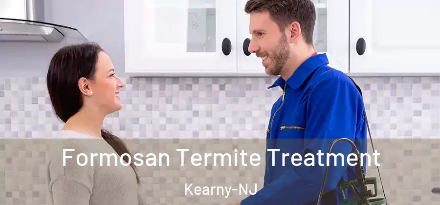 Formosan Termite Treatment Kearny-NJ