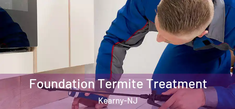  Foundation Termite Treatment Kearny-NJ