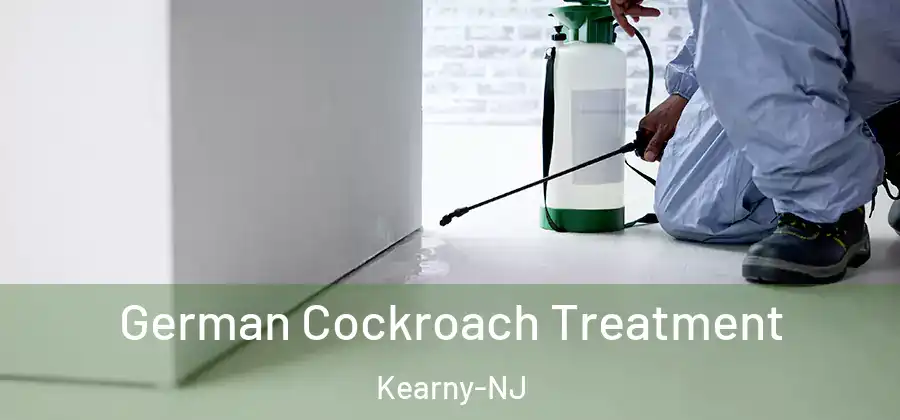  German Cockroach Treatment Kearny-NJ