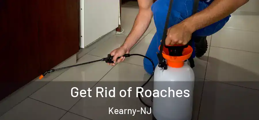  Get Rid of Roaches Kearny-NJ