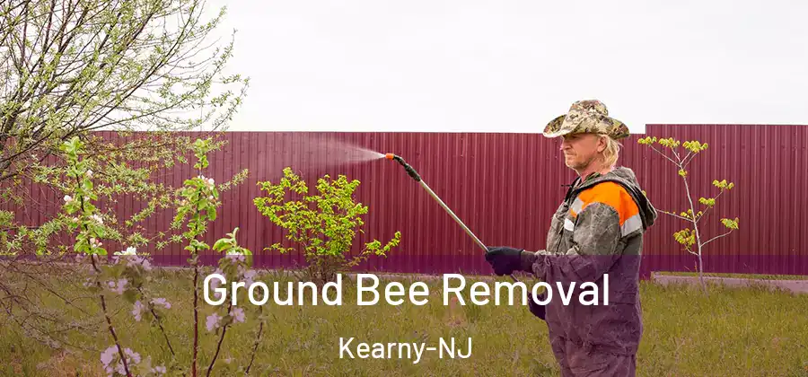  Ground Bee Removal Kearny-NJ