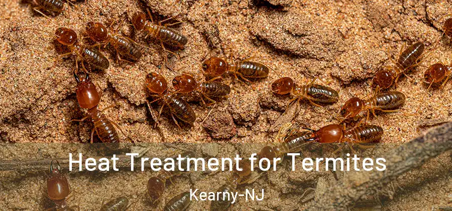  Heat Treatment for Termites Kearny-NJ