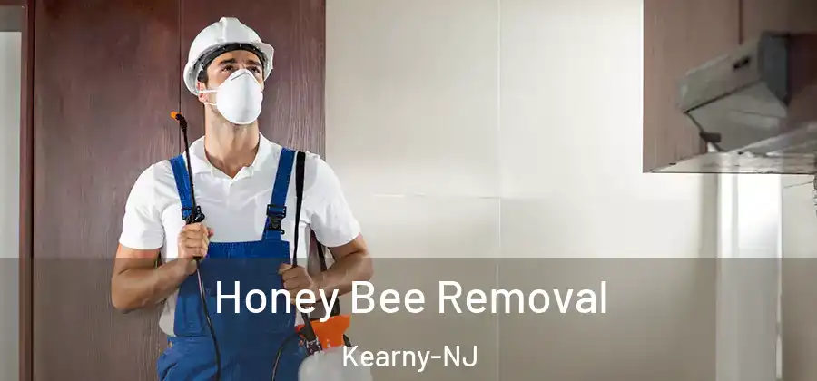  Honey Bee Removal Kearny-NJ