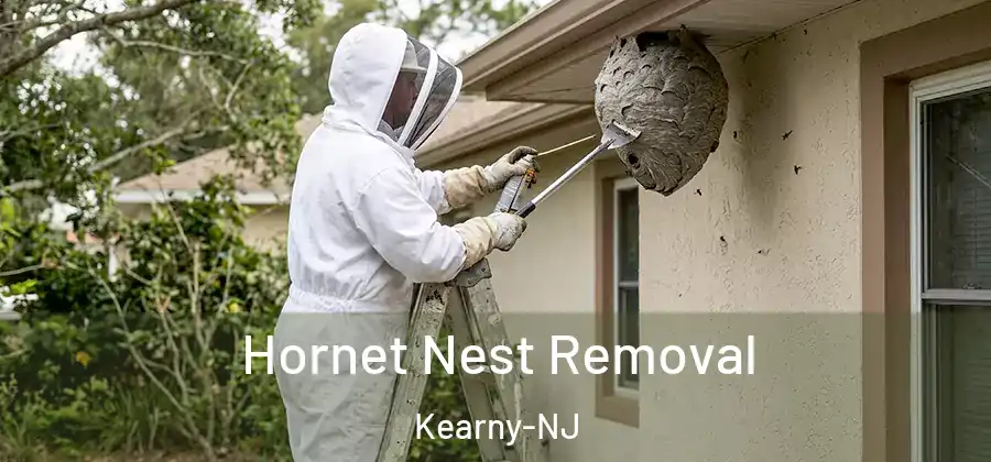  Hornet Nest Removal Kearny-NJ