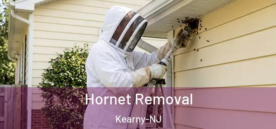  Hornet Removal Kearny-NJ