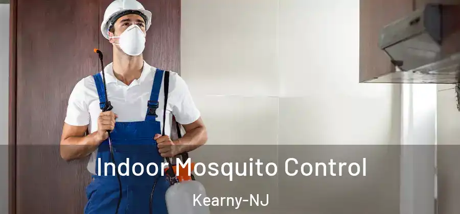 Indoor Mosquito Control Kearny-NJ