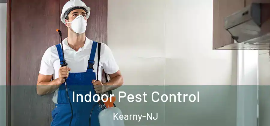  Indoor Pest Control Kearny-NJ